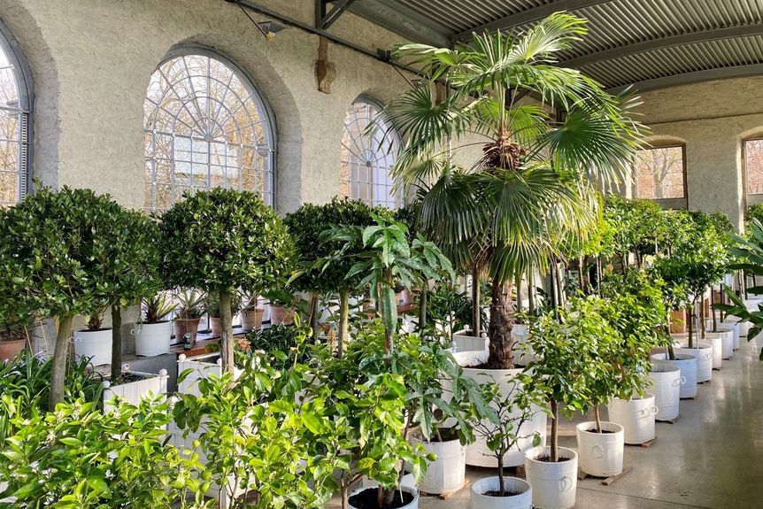 Schloss und Schlossgarten Weikersheim, Event, Kostümführung, der Fürstin Fräulein