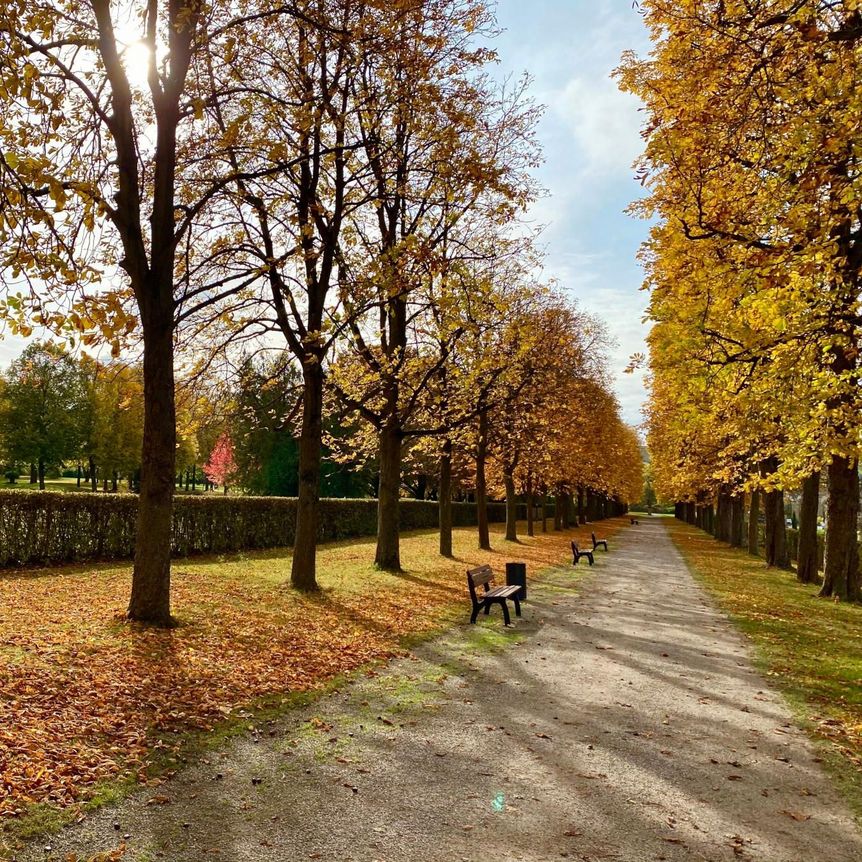 Schloss und Schlossgarten Weikersheim, Kastanienallee im Herbst