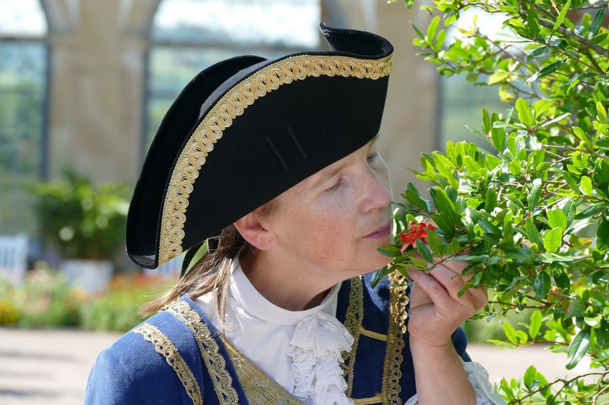 Schloss und Schlossgarten Weikersheim, Event, Kostümführung, im Schatten des Sonnenkönigs