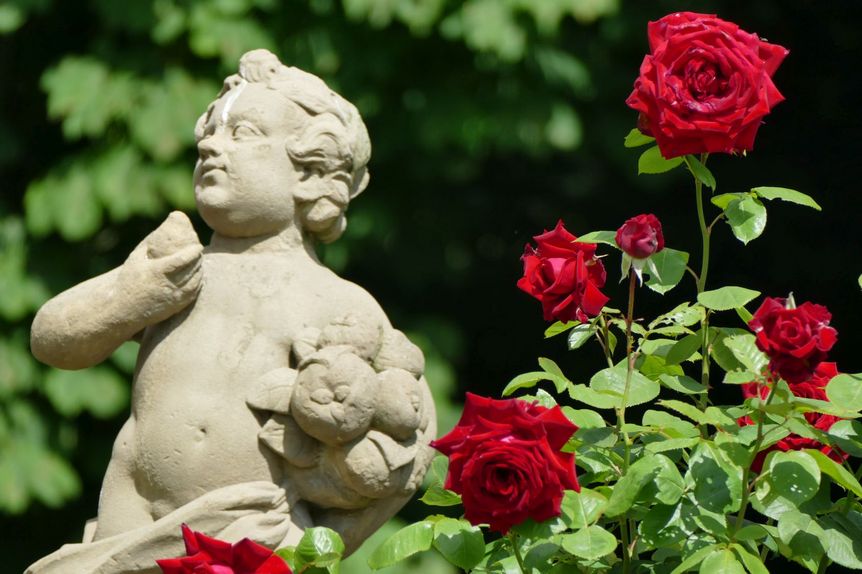 Schloss und Schlossgarten Weikersheim, Blühende Rosen im Schlossgarten mit Figur