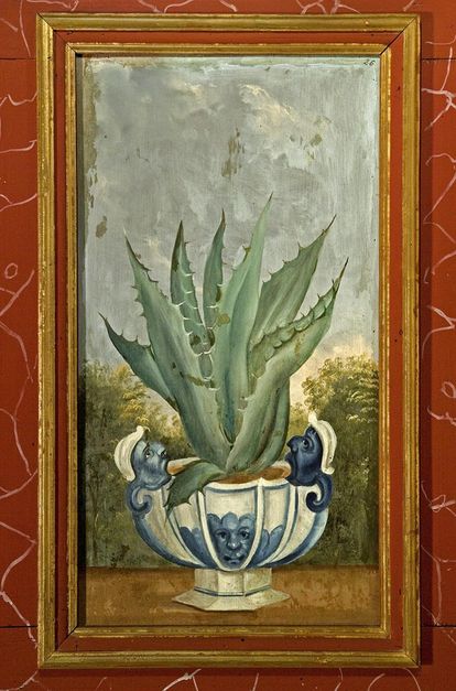 Aloe Vera, Lambrisbild im Rittersaal, Schloss Weikersheim