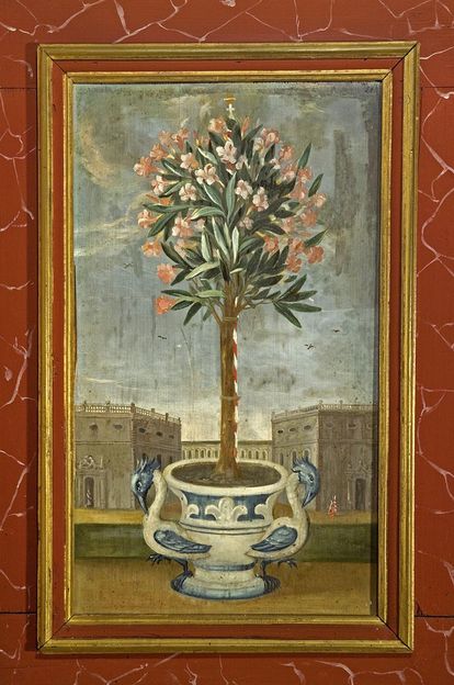 Oleander, Lambrisbild im Rittersaal, Schloss Weikersheim