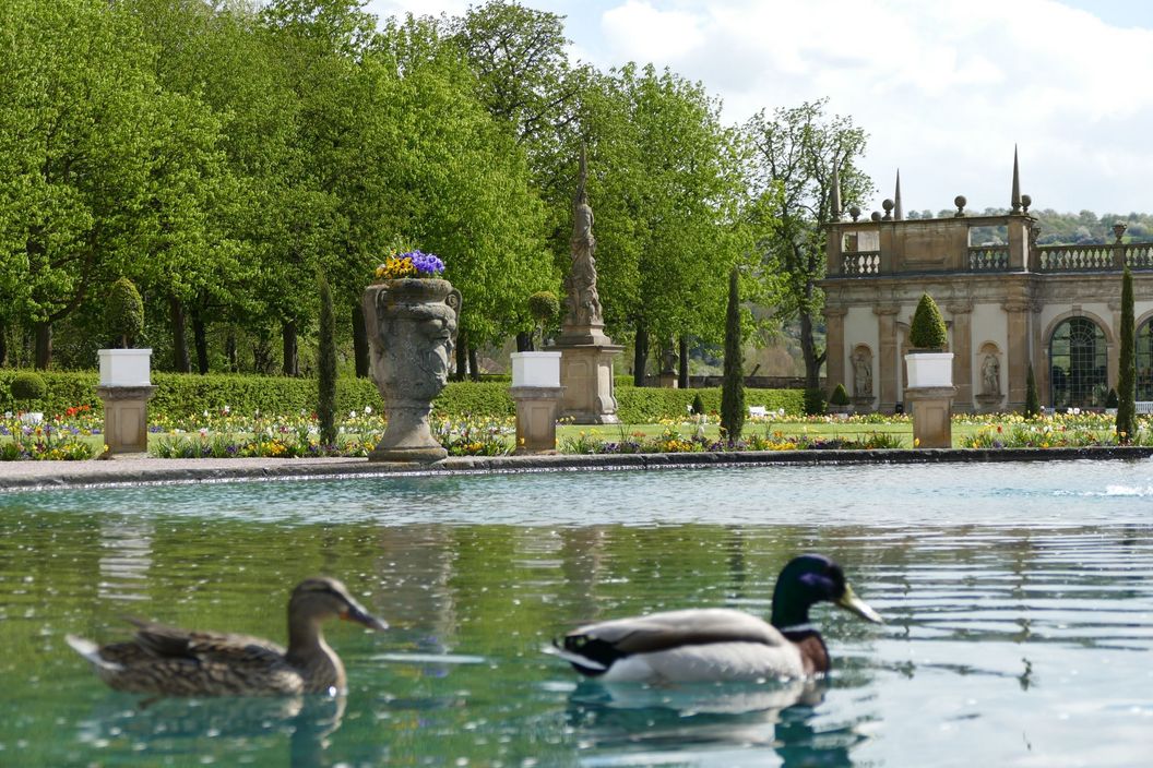 Schloss und Schlossgarten Weikersheim, Garten