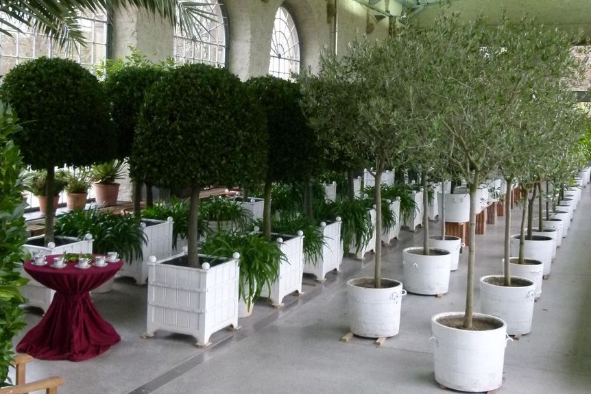 Schloss und Schlossgarten Weikersheim, Ausstellung, Pomeranzenschau