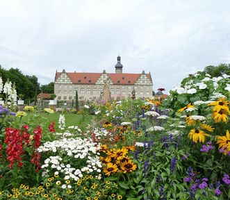 Schloss und Schlossgarten Weikersheim, Rabatten