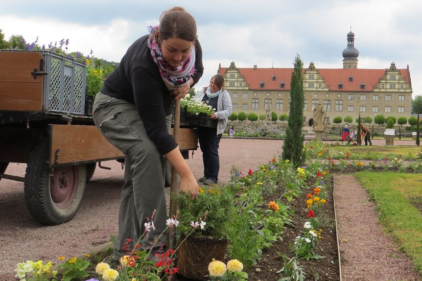 Schloss und Schlossgarten Weikersheim, Garten, Arbeiten im Mai