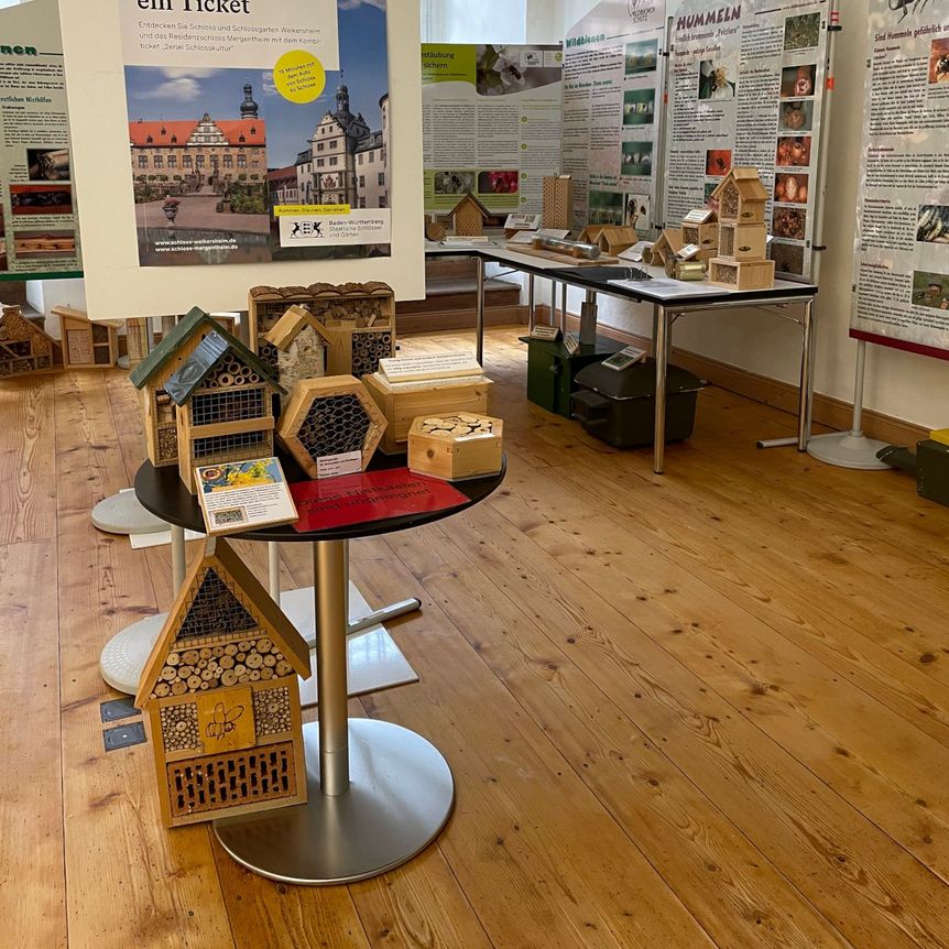 Schloss und Schlossgarten Weikersheim, Event, Ausstellung Wildbienen