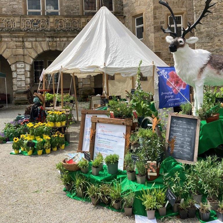 Schloss und Schlossgarten Weikersheim, Event, Tag der Biene, Innenhof