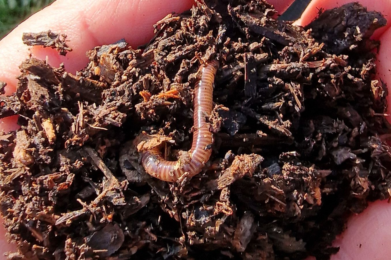 Schloss und Schlossgarten Weikersheim, Event, Aktionstag zum Herbstbeginn