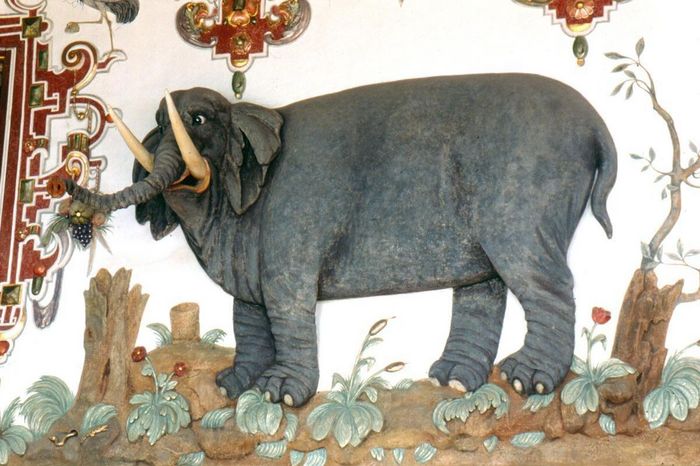 Wandbild mit großem Elefanten, Rittersaal, Schloss Weikersheim